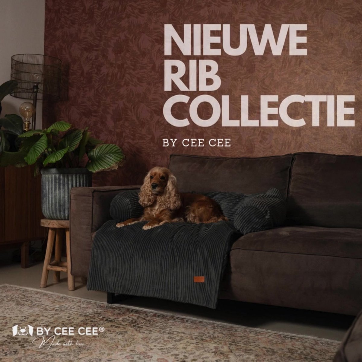 Lous Robuuste hondendeken, bank, bankbescherming hond, hondenbed voor bank, wasbaar, 90 graden, bankkussen, kleine honden, bankkussen, bankdeken, duurzaam, XL B-variant, antraciet grijs