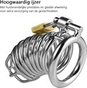 Glanzende metalen kuisheidskooi met spiraalvormige buizen, een messing slot en een stevige ring aan de onderkant.