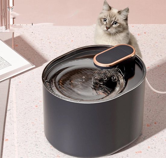 Lichtgrijze kat zit naast zwarte waterfontein.