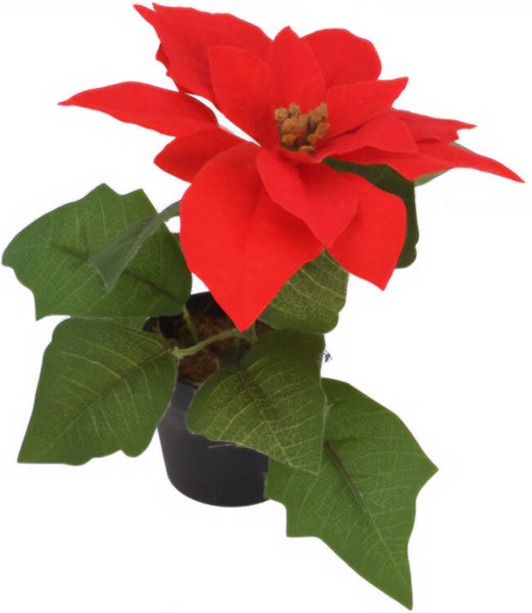 Kerstster, kunstbloem, 19 cm