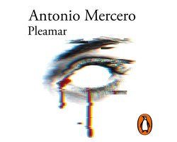 Pleamar