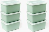 Amuse® | Boîte congélateur BIO Vert Alaska 1000 ml | 6 pièces | 70% à base de canne à sucre | Contenants d'aliments frais