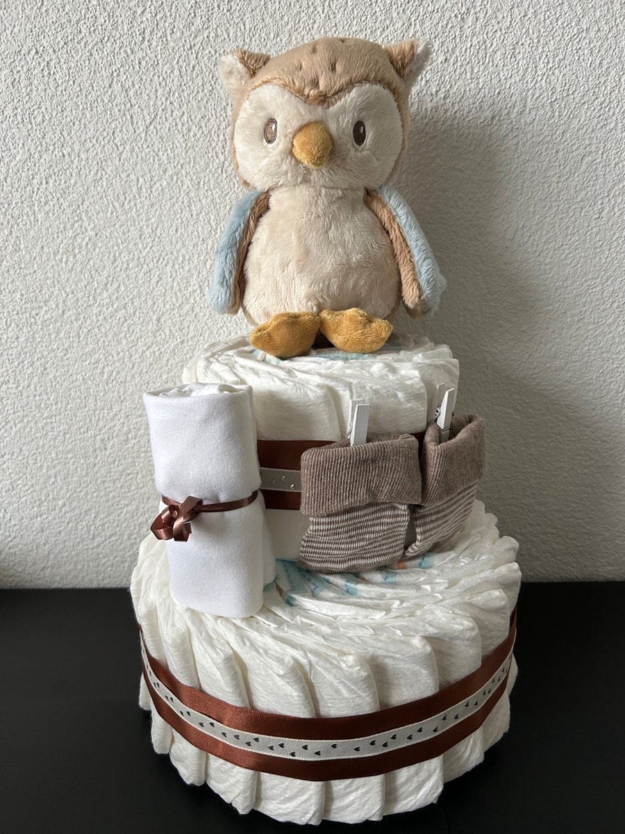 Image of 2-Laags Luiertaart Little Dutch Uil