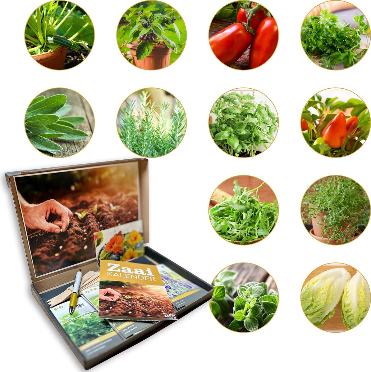 Cadeau Zadenpakket – Italiaanse Moestuin 12 Soorten Groente- & Kruidenzaden – Luxe Geschenkpakket met Tomaat, Basilicum, Tijm, Rozemarijn & Paprika – Tuin de Bruijn®