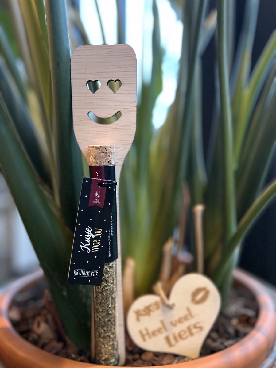 Creaties van Hier - Spatels - Kruidenbuisje - Tekst Kusje voor jou met houten hartje - Hout