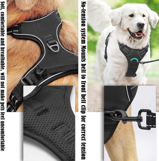 Professionele prikkelende hengel honden, de ideale