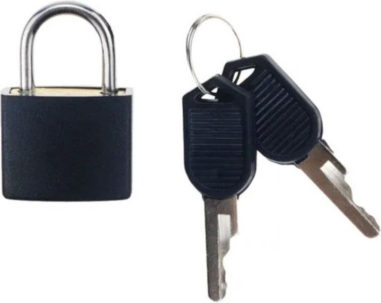 Discus hangslot weerbestendig RVS