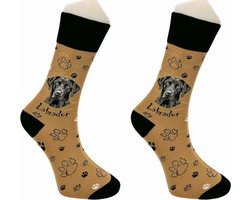LABRADOR - SOKKEN - 2 Pack - Grappige Sokken voor Mannen & Vrouwen - One Size Sokken (41-46) - Humorvolle Huissokken - Verjaardagscadeau - Geschenk voor Heren, Dames, Vader, Moeder, Vriendin, Zus, Oma - Cadeau SOCKY WOCKY