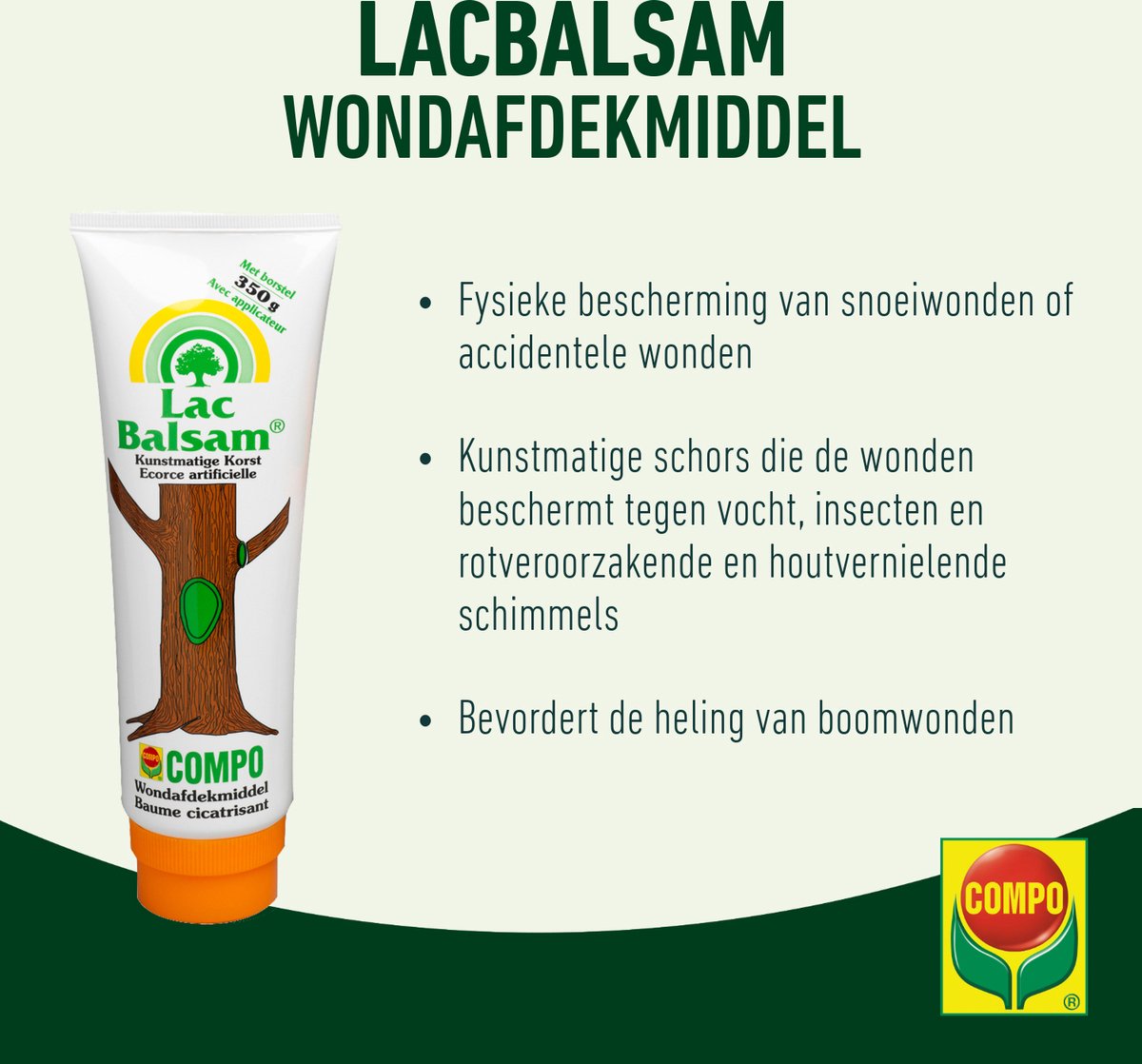 Weg tussen velden en bomen, in de verte, herfstlandschap. Illustratie