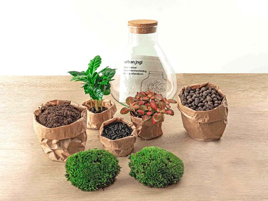DIY planten terrarium – ↑ 27 cm