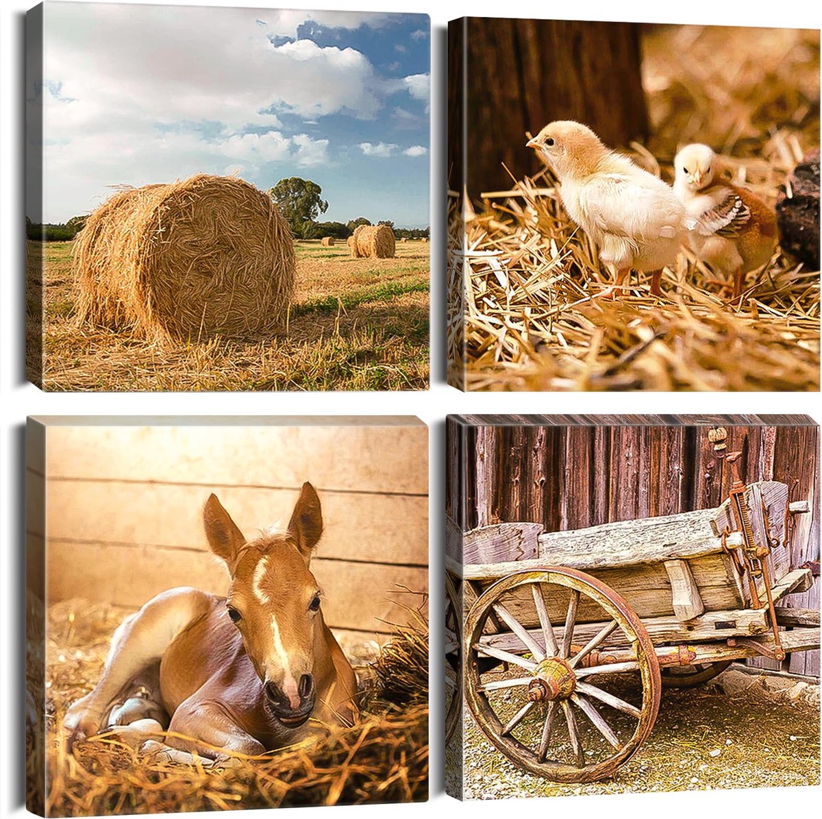 La'Moussawi ® Moderne Canvas Wanddecoratie Set van 4 met Houten Lijst voor Diverse Ruimtes