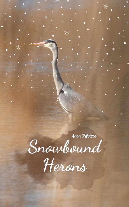 Snowbound Herons