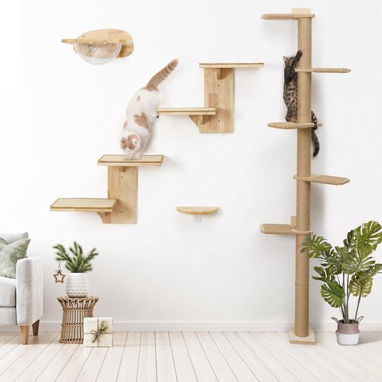 Complete hangbrug voor katten, grote klimwand met wandhouders voor grote katten, wandwoonkamer van massief hout en stevige touwen