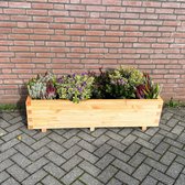 AMISHOUT - Plantenbak van hout 140x40x36 - naturel | bloembak buiten