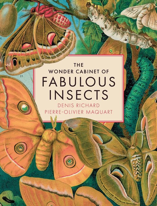 The Wonder Cabinet of Fabulous Insects - cover