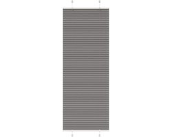 vidaXL - Plissé - rolgordijn - 80x200 - cm - stofbreedte - 79,4 - cm - antraciet