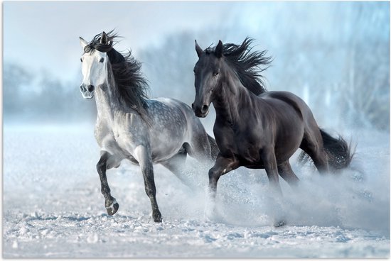 Poster 120x80 cm - Paarden - Winter - Dieren - Natuur - Sneeuw - Posters - Kamer decoratie - Wanddecoratie woonkamer - Muurdecoratie slaapkamer
