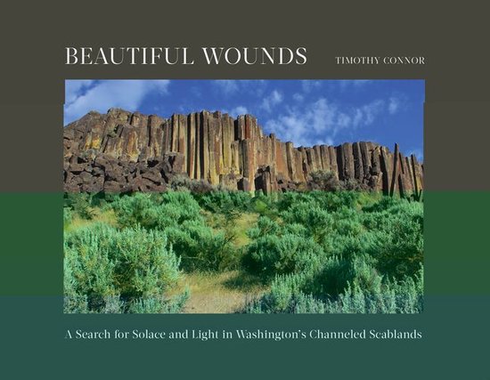 Beautiful Wounds - cover