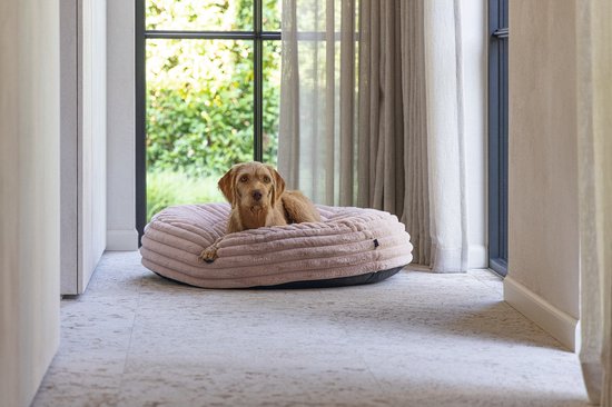 Bruine hond ligt op een roze, ribbelig hondenkussen.