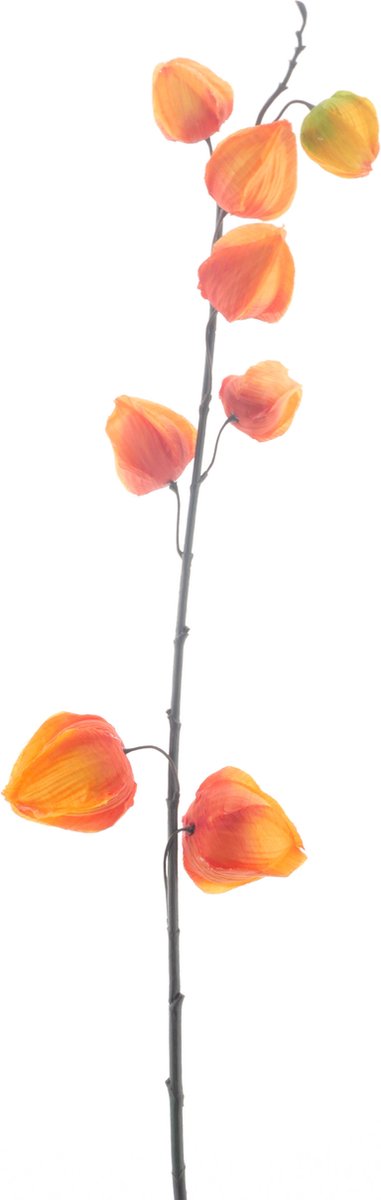Bellatio Design Kunstbloem Lampionplant/physalis tak - 73 cm - oranje - zijde bloemen - Kunst herfst takken