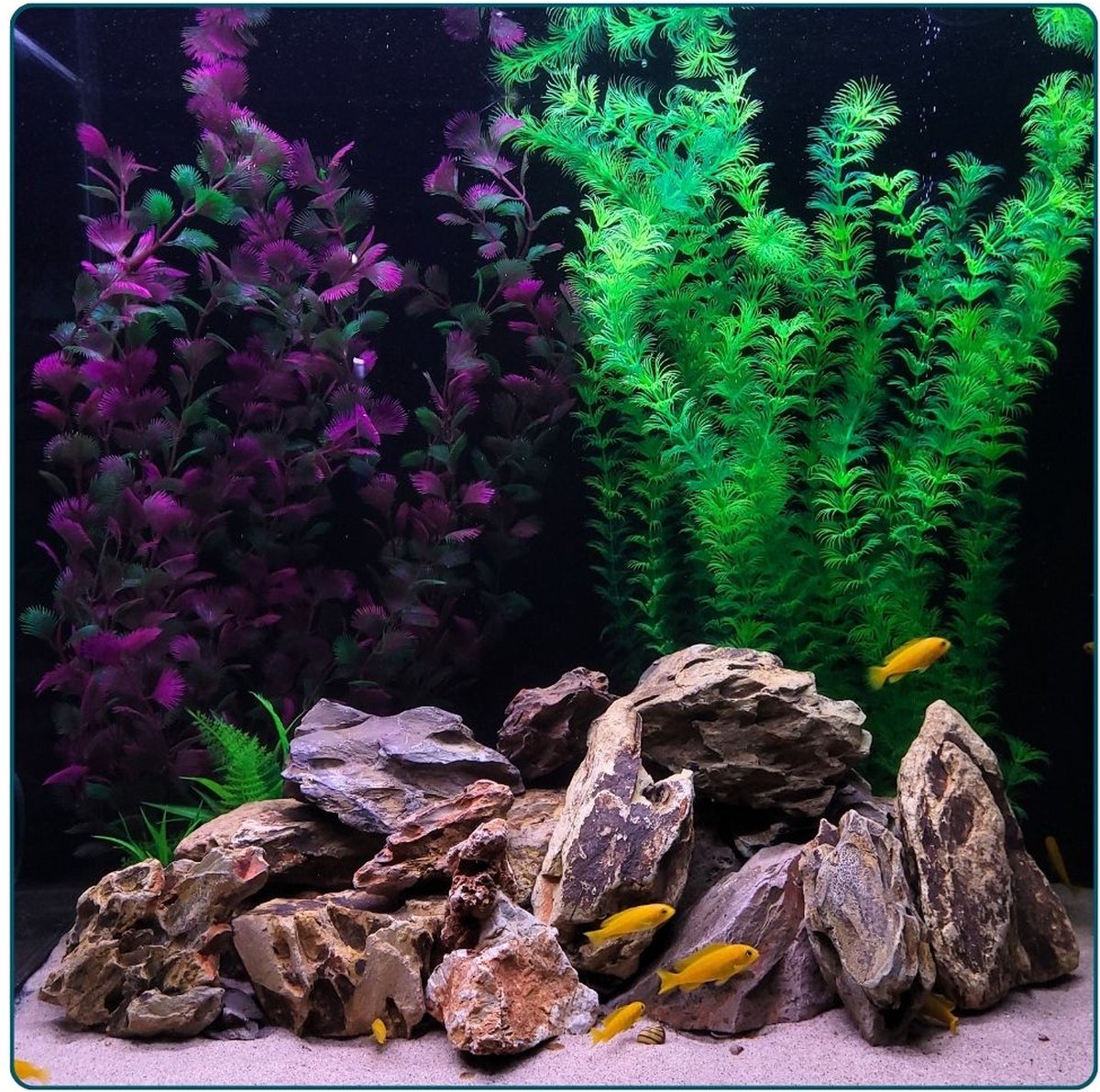 De Geologische Structuur Van Schaliegsedimentair Gesteente. Stock Foto