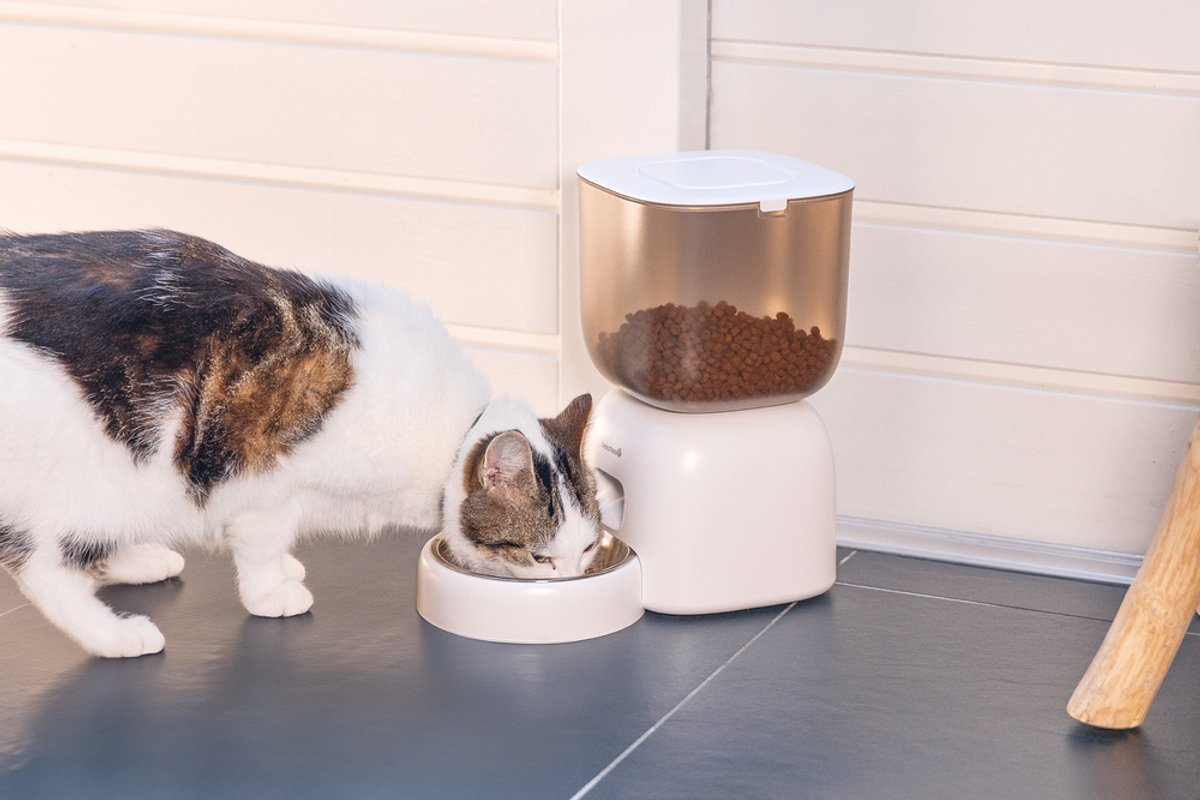 Beeztees Chris automatische Voerbak Kat - Smart - met app - voerautomaat kat - Wit - 3 liter thumbnail 6