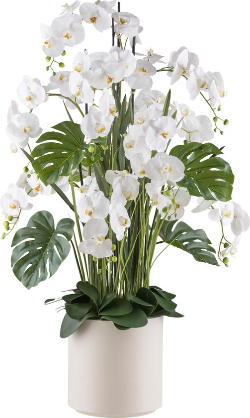 Flourify, Orchidée - fleur artificielle en pot - plante artificielle - Real touch - décoration maison - 140 cm - blanc