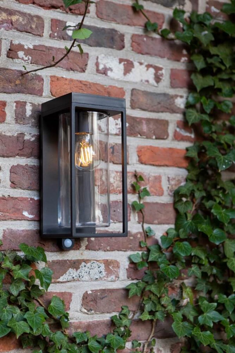 Lutec Flair - Solar wandlamp voor buiten met E27 retrofitting