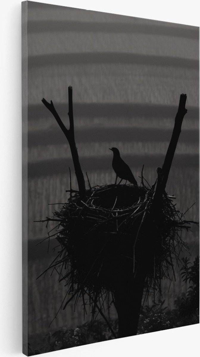 Saammp Canvas Schilderij - Vogel bij nest - Bloemen - 30x40 - Foto op canvas - Wanddecoratie - Muurdecoratie Woonkamer - Kantoor Decoratie Multicolor