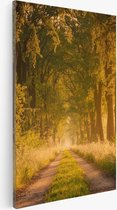 30 cm x 40 cm
