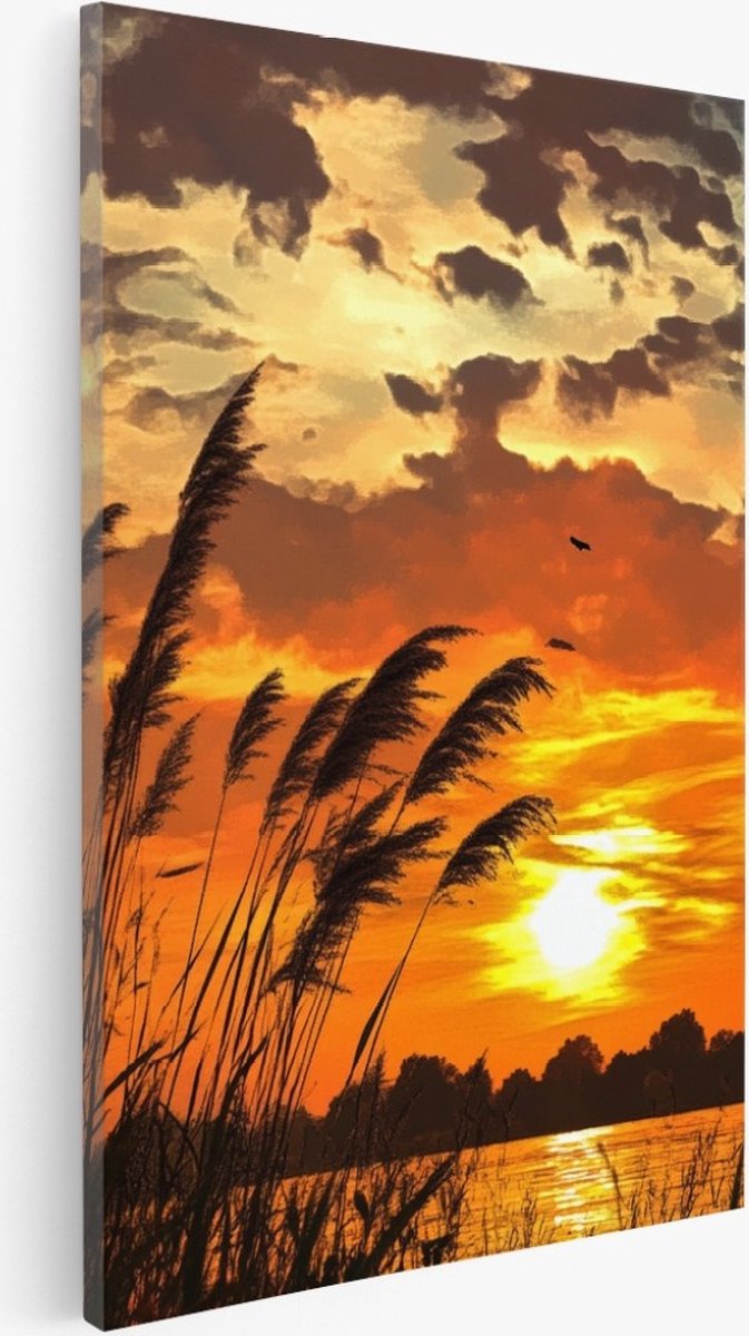 Saammp Canvas Schilderij - Zonsondergang - Planten - Nederland - Natuur - Landschap - 30x45 - Foto op canvas - Wanddecoratie - Muurdecoratie Woonkamer - Slaapkamer decoratie - Canvas Print Multicolor