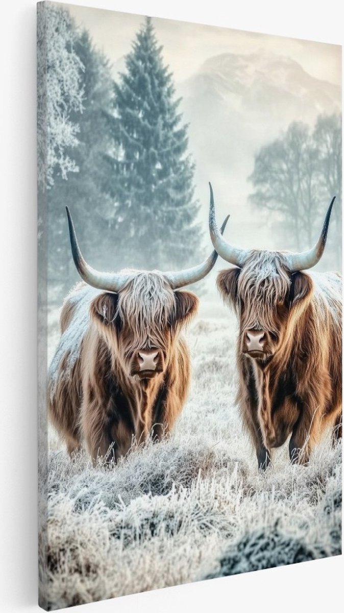 Saammp Canvas Schilderij - 2 Schotse Hooglanders in bevroren gras - Natuur - Dieren - 60x90 - Foto op canvas - Wanddecoratie - Muurdecoratie Woonkamer - Slaapkamer decoratie - Canvas Print Multicolor