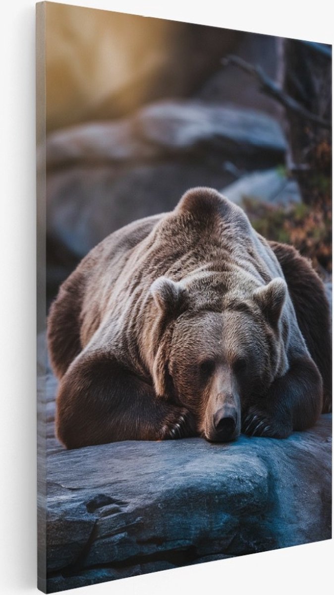 Saammp Canvas Schilderij - beer op rots - Natuur - Dieren - 30x45 - Foto op canvas - Wanddecoratie - Muurdecoratie Woonkamer - Slaapkamer decoratie - Canvas Print Multicolor