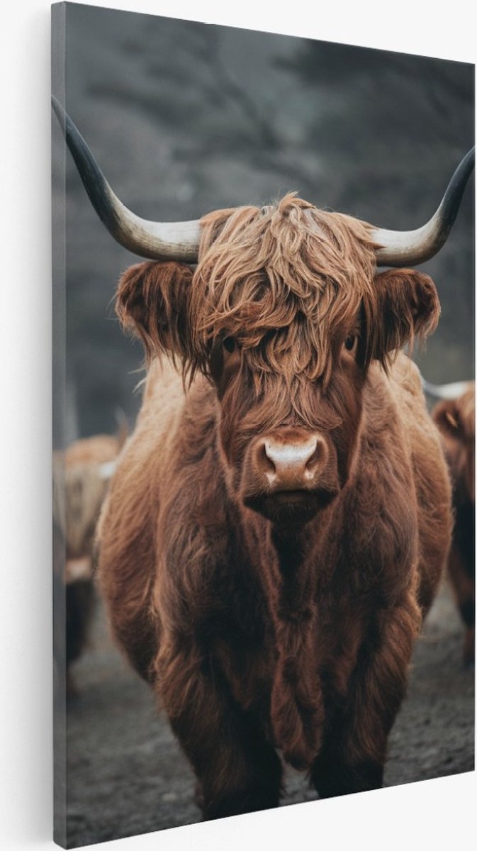 Saammp Canvas Schilderij - schotse hooglander koe in bos - Natuur - Dieren - 80x120 - Foto op canvas - Wanddecoratie - Muurdecoratie Woonkamer - Slaapkamer decoratie - Canvas Print Multicolor