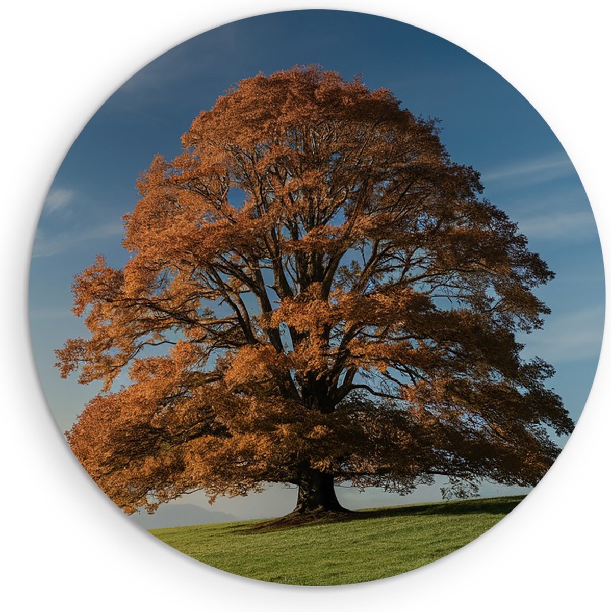 Saammp Muurcirkel Hout - Grote Boom op berg - Natuur - Landschap - Ø 30 - Wandcirkel - Wanddecoratie Cirkel - Muurdecoratie Woonkamer - Slaapkamer decoratie - Rond Schilderij
