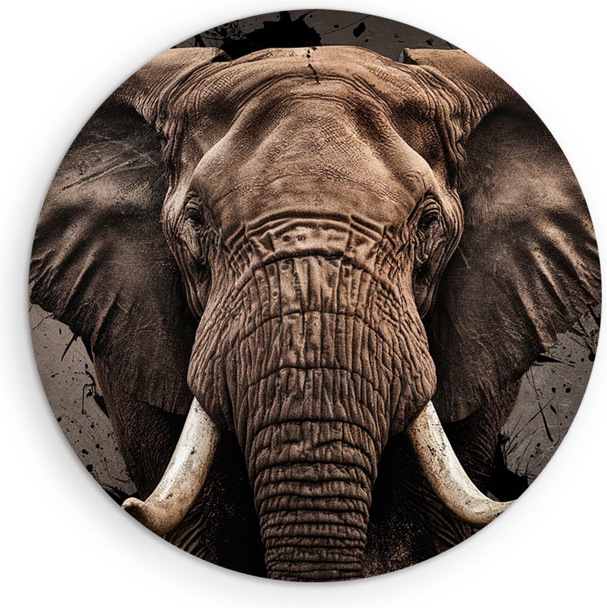 Saammp Forex Muurcirkel - Olifant - Portret - Dieren - Ø 70 - Wandcirkel - Wanddecoratie Cirkel - muurdecoratie Woonkamer - Slaapkamer decoratie - Rond Schilderij
