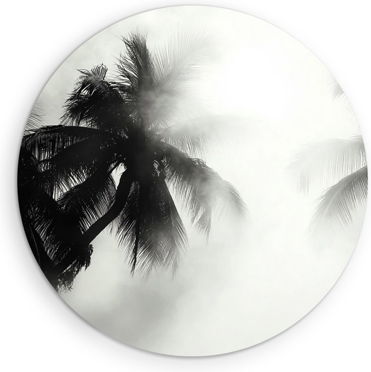 Saammp Muurcirkel Hout - Natuur - 2 Bomen tussen de mist - landschap - Ø 50 - Wandcirkel - Wanddecoratie Cirkel - Muurdecoratie Woonkamer - Slaapkamer decoratie - Rond Schilderij
