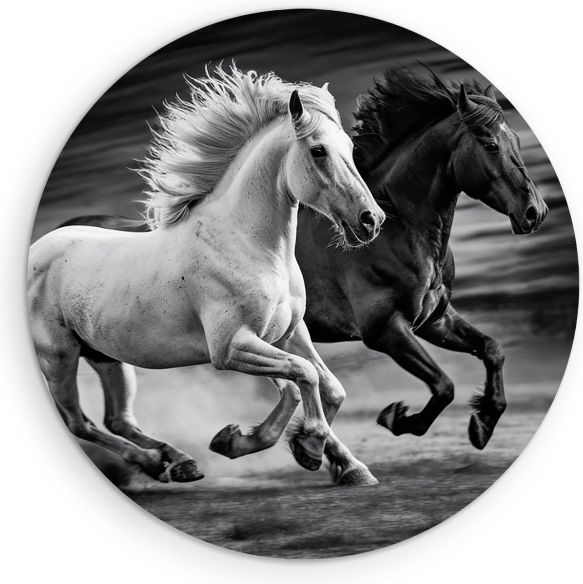 Saammp Forex Muurcirkel - 2 paarden - Zwart - Wit- Dieren - Natuur - Ø 30 - Wandcirkel - Wanddecoratie Cirkel - muurdecoratie Woonkamer - Slaapkamer decoratie - Rond Schilderij