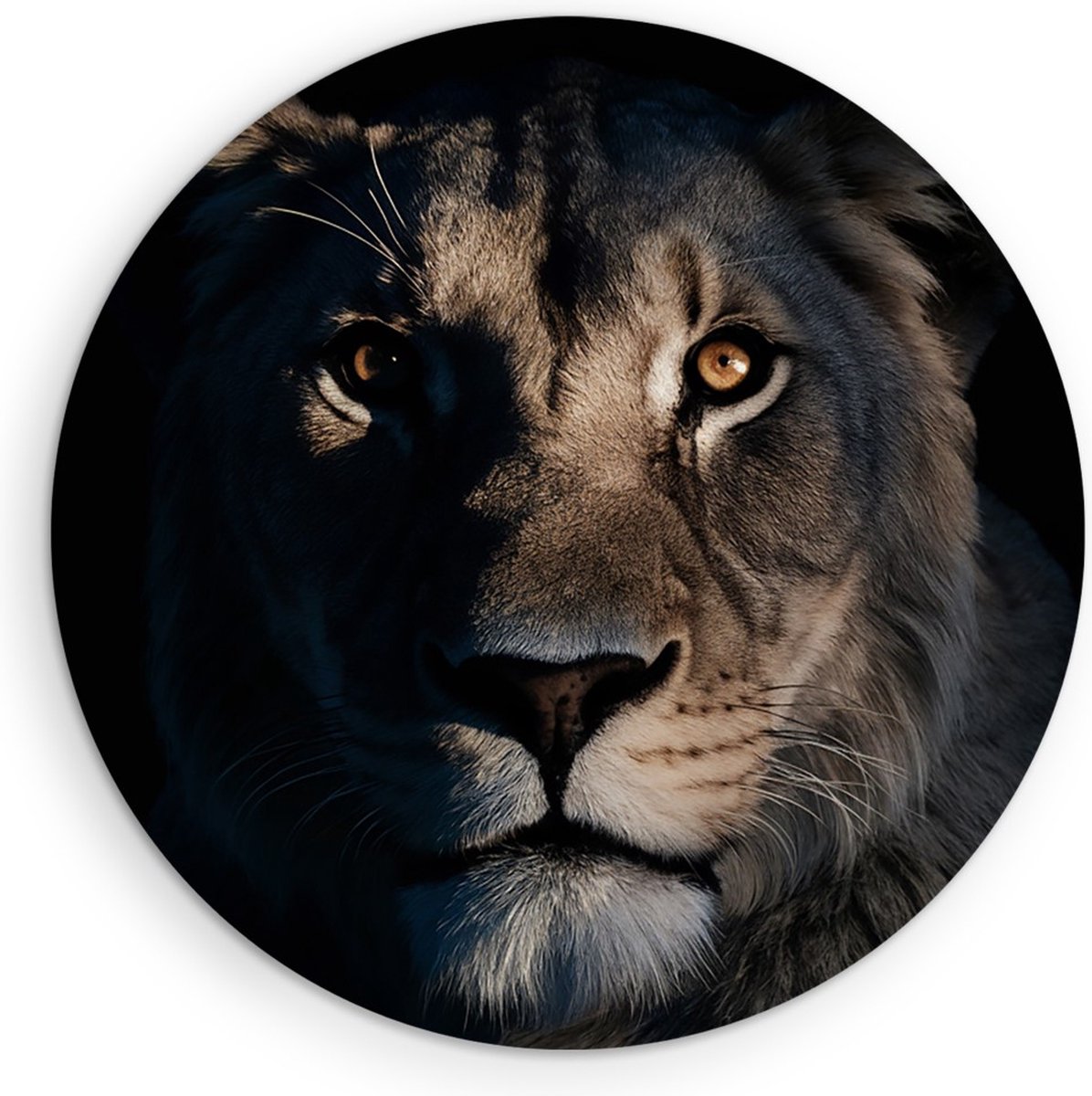 Saammp Forex Muurcirkel - Leeuwen Portret - Lichtval - Dieren - Natuur - Ø 30 - Wandcirkel - Wanddecoratie Cirkel - Muurdecoratie Woonkamer - Slaapkamer decoratie - Rond Schilderij