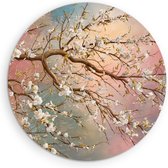Saammp Muurcirkel Hout - Tak met Bloeiende Bloesem - Natuur - Abstract - Ø 80 - Wandcirkel - Wanddecoratie Cirkel - Muurdecoratie Woonkamer - Kantoor Decoratie