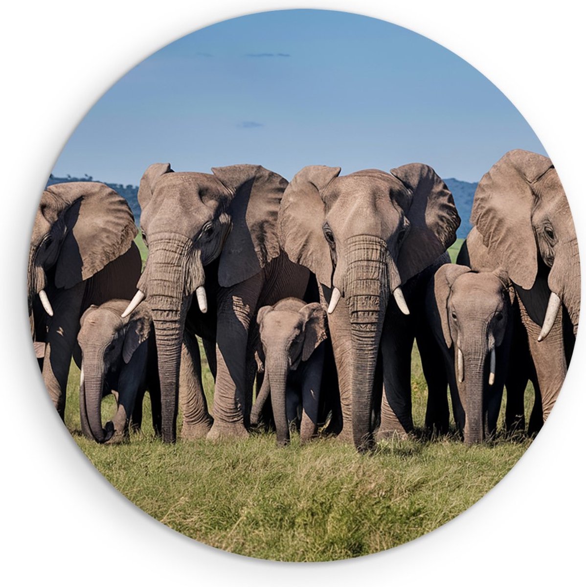 Saammp Muurcirkel Hout - Grote Olifanten Familie - Afrika - Dieren - Ø 90 - Wandcirkel - Wanddecoratie Cirkel - muurdecoratie Woonkamer - Slaapkamer decoratie - Rond Schilderij