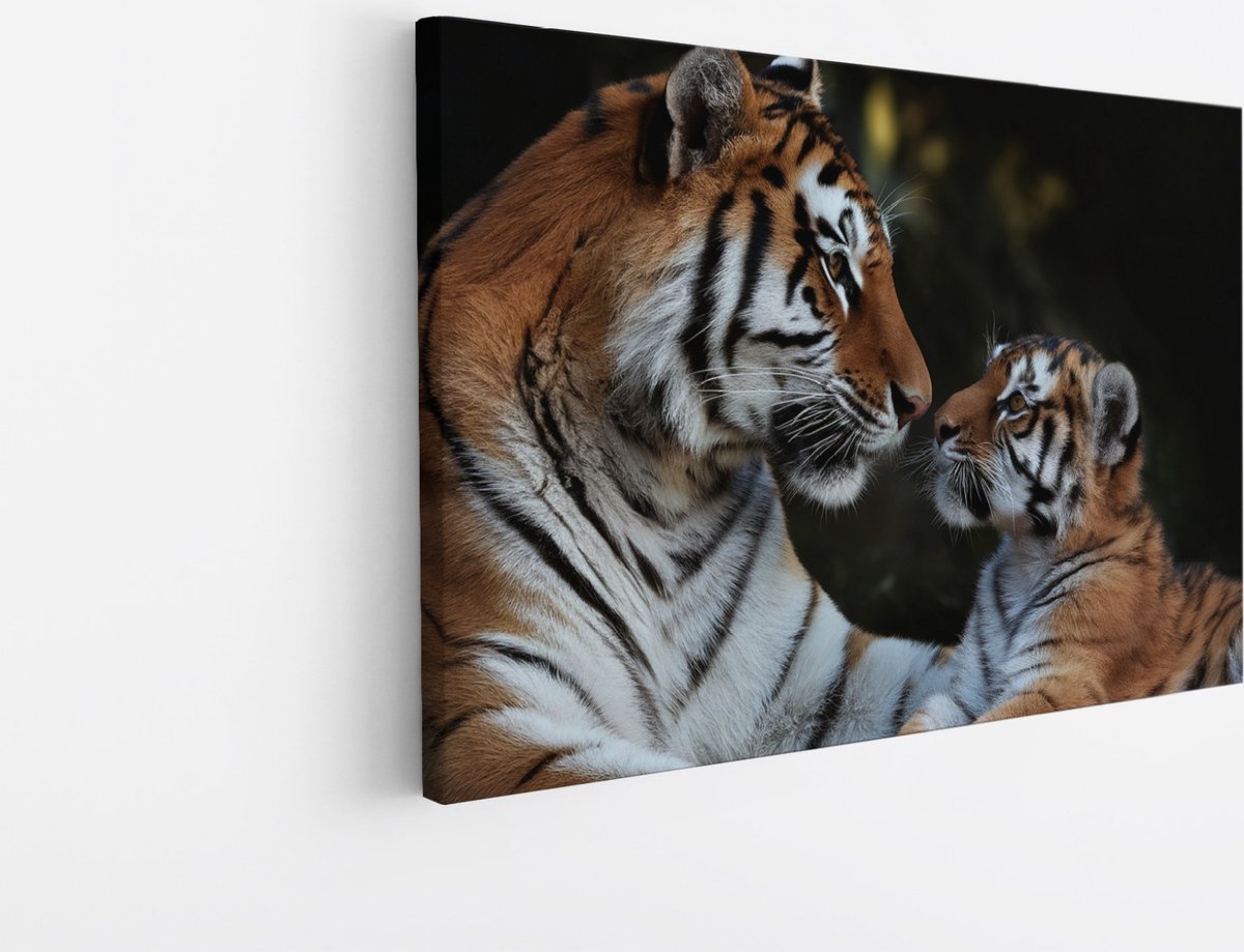 Saammp Canvas Schilderij - Tijger met welp - Natuur - Dieren - 90x60 - Foto op canvas - Wanddecoratie - muurdecoratie Woonkamer - Slaapkamer decoratie - Canvas Print Multicolor