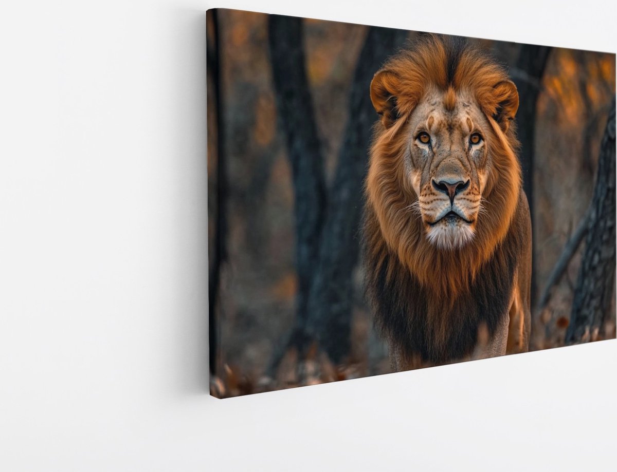 Saammp Canvas Schilderij - Leeuw tussen de bomen - Dieren - Natuur - 150x100 - Foto op canvas - Wanddecoratie - Muurdecoratie Woonkamer - Slaapkamer decoratie - Canvas Print Multicolor