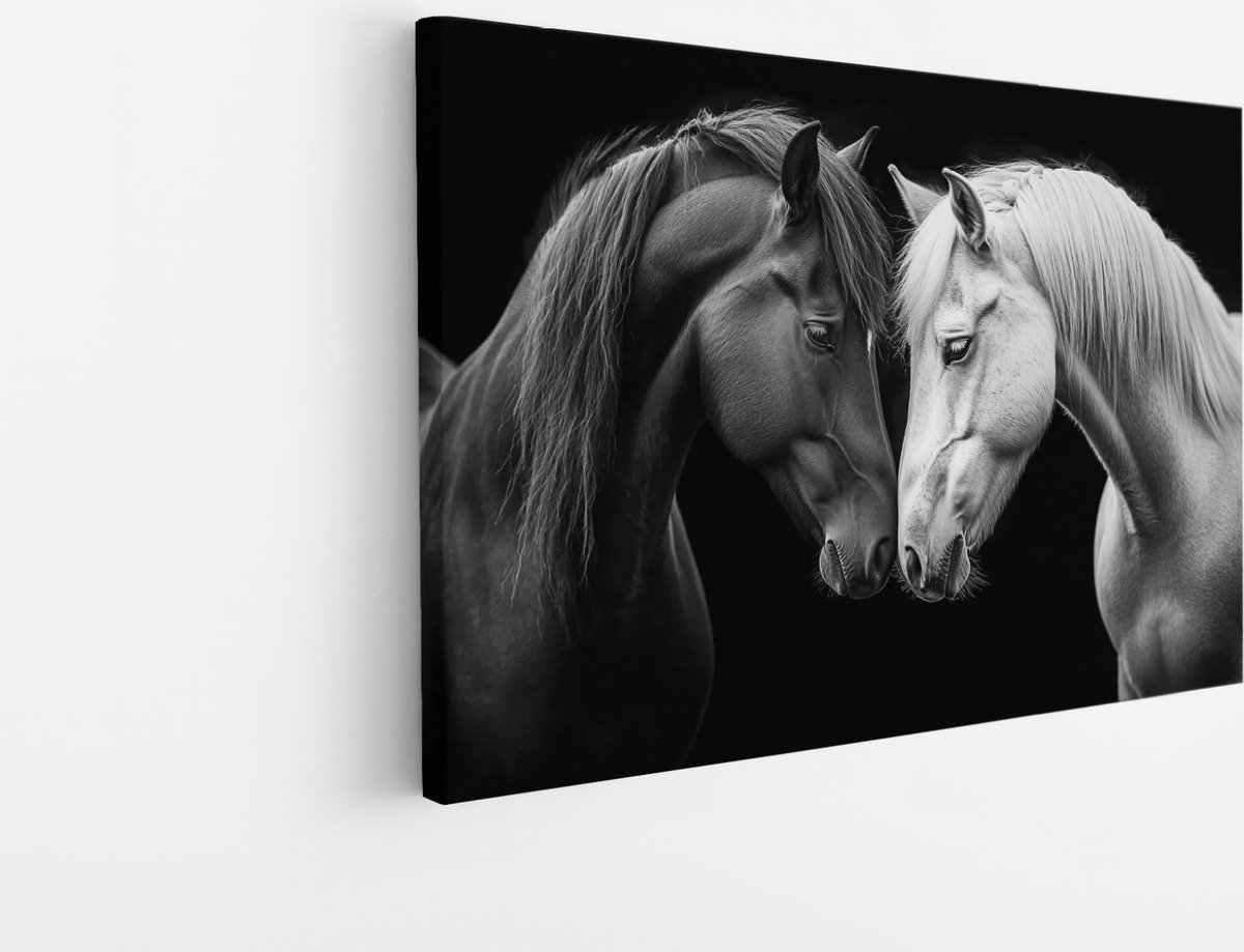 Saammp Canvas Schilderij - 2 Verliefde Paarden - Zwart-Wit - Dieren - Natuur - 45x30 - Foto op canvas - Wanddecoratie - muurdecoratie Woonkamer - Slaapkamer decoratie - Canvas Print Multicolor