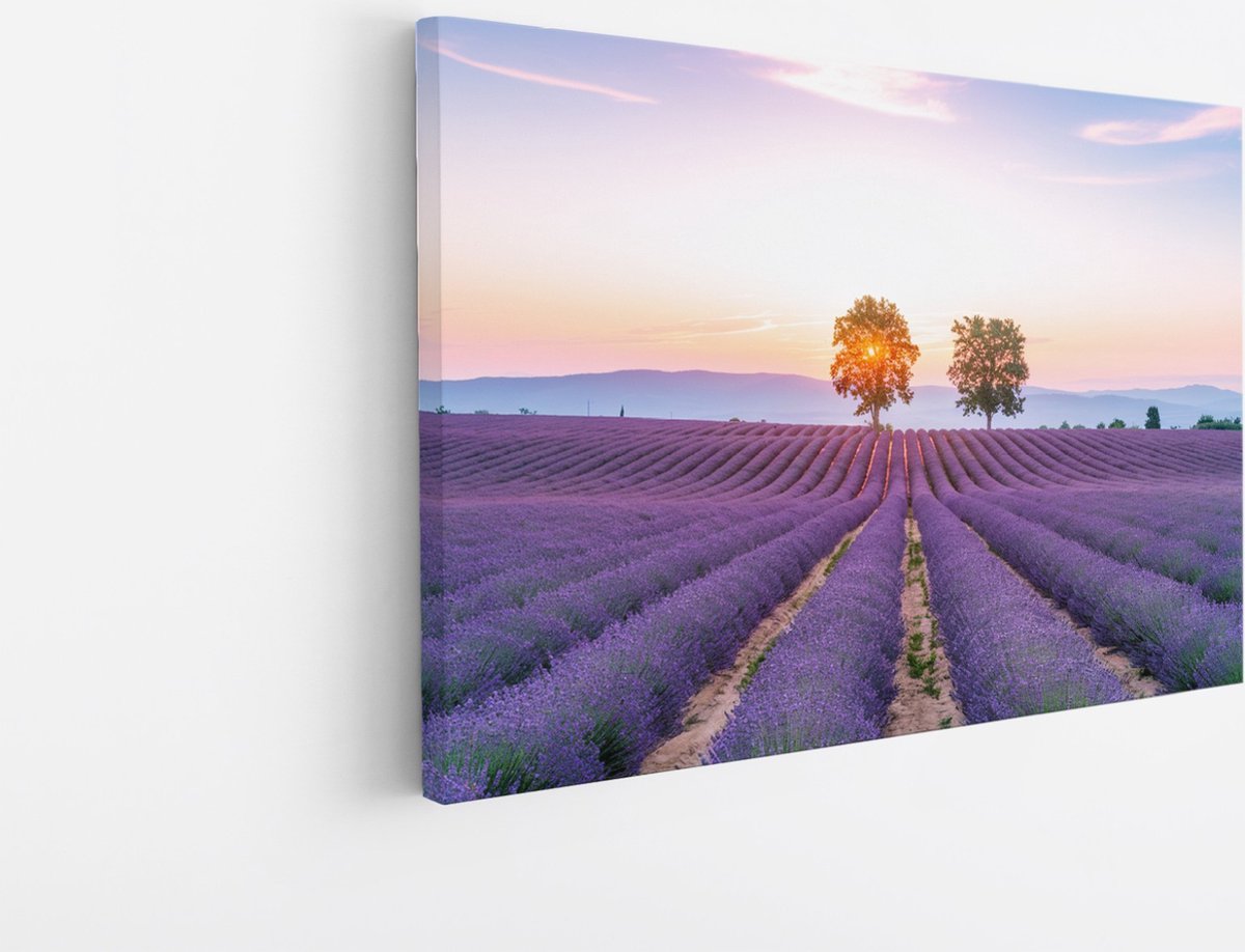 Saammp Canvas Schilderij - Lavendelveld met de zon tussen de bomen - Natuur - Landschap - 70x50 - Foto op canvas - Wanddecoratie - Muurdecoratie Woonkamer - Slaapkamer decoratie - Canvas Print Multicolor