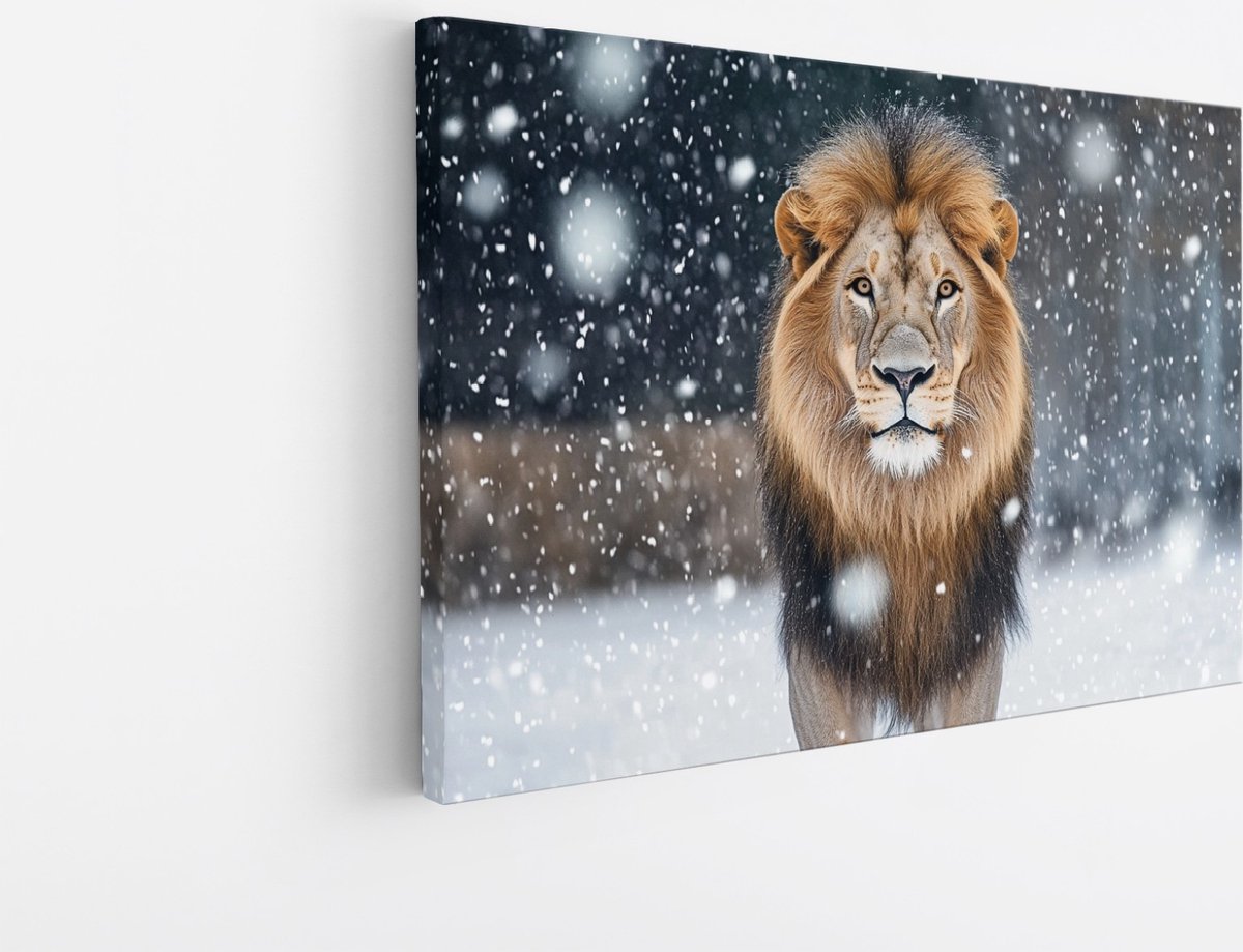 Saammp Canvas Schilderij - Leeuw met sneeuw - Winter - Dieren - Natuur - 60x40 - Foto op canvas - Wanddecoratie - Muurdecoratie Woonkamer - Slaapkamer decoratie - Canvas Print Multicolor