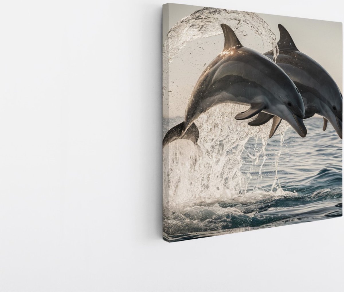 Saammp Canvas Schilderij - 2 Dolfijnen - Dieren - Landschap - Natuur - 60x60 - Foto op canvas - Wanddecoratie - Muurdecoratie Woonkamer - Slaapkamer decoratie - Canvas Print