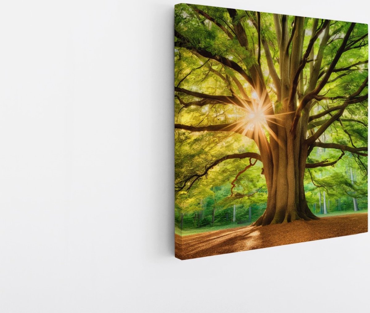 Saammp Canvas Schilderij - Grote Boom met tijdens goldenhour - Natuur - Landschap - 60x60 - Foto op canvas - Wanddecoratie - Muurdecoratie Woonkamer - Slaapkamer decoratie - Canvas Print Multicolor