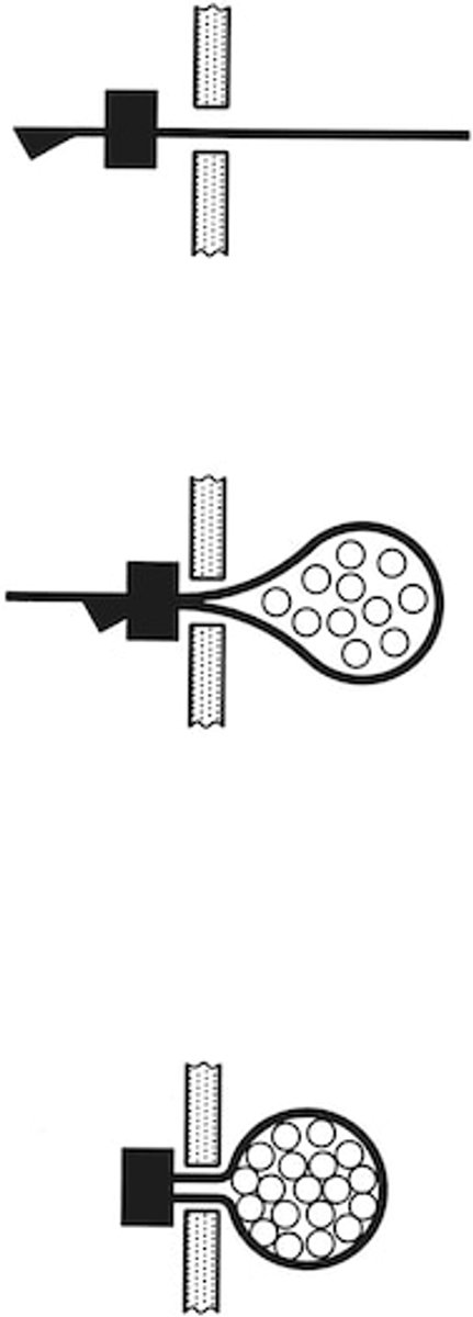 Wurth - Kabelbinder PA voor één-gatsmontage - Kabelbinder gemaakt van polyamide voor montage met één gat x 100 st