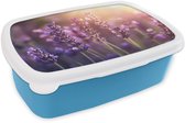 Boîte à lunch bleu - Lunchbox Fleurs de lavande - Pourpre - Soleil - Boîte à lunch 18x12x6 cm